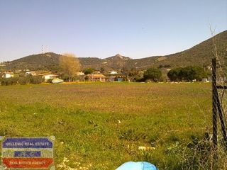 Αγροτεμάχια 4.400 τ.μ. για πώληση, Ν. Καβάλας, Ελευθερές-thumb-3