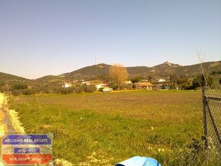 Αγροτεμάχια 4.400 τ.μ. για πώληση, Ν. Καβάλας, Ελευθερές-thumb-4