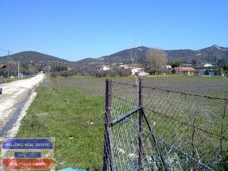 Αγροτεμάχια 4.400 τ.μ. για πώληση, Ν. Καβάλας, Ελευθερές-thumb-8