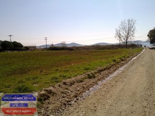 Αγροτεμάχια 4.400 τ.μ. για πώληση, Ν. Καβάλας, Ελευθερές-thumb-9