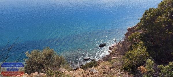 Αγροτεμάχια 5.800 τ.μ. προς πώληση, Φωλιά Ελευθερών