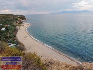 Αγροτεμάχια 5.800 τ.μ. για πώληση, Ν. Καβάλας, Ελευθερές-thumb-15
