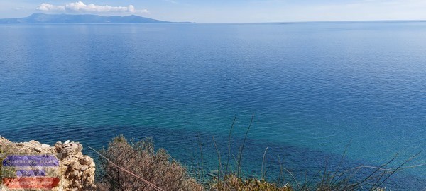 Αγροτεμάχια 5.800 τ.μ. προς πώληση, Φωλιά Ελευθερών