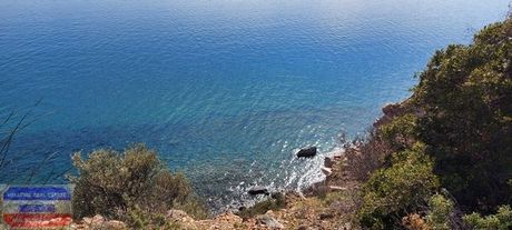 Αγροτεμάχια 5.800τ.μ. για πώληση-Ελευθερές