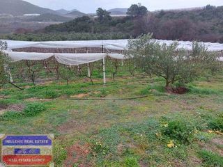 Αγροτεμάχια 1.250 τ.μ. για πώληση, Ν. Καβάλας, Ελευθερές-thumb-1