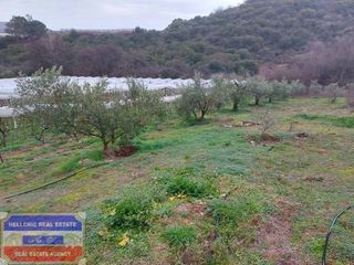 Αγροτεμάχια 1.250 τ.μ. για πώληση, Ν. Καβάλας, Ελευθερές-thumb-3
