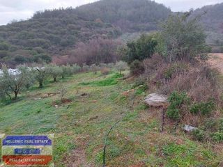 Αγροτεμάχια 1.250 τ.μ. για πώληση, Ν. Καβάλας, Ελευθερές-thumb-2
