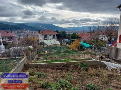 Οικόπεδο 650τ.μ. για πώληση-Φίλιπποι