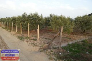 Αγροτεμάχια 3.150 τ.μ. για πώληση, Ν. Καβάλας, Ελευθερές-thumb-9