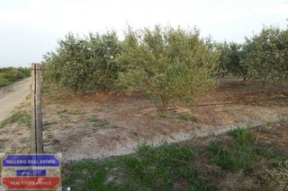 Αγροτεμάχια 3.150 τ.μ. για πώληση, Ν. Καβάλας, Ελευθερές-thumb-10