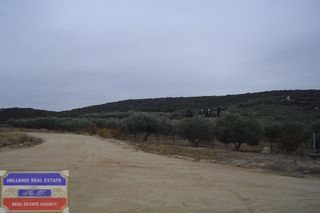 Αγροτεμάχια 3.480 τ.μ. πρός πώληση, Ν. Καβάλας, Ελευθερές-thumb-14