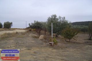 Αγροτεμάχια 3.480 τ.μ. πρός πώληση, Ν. Καβάλας, Ελευθερές-thumb-11