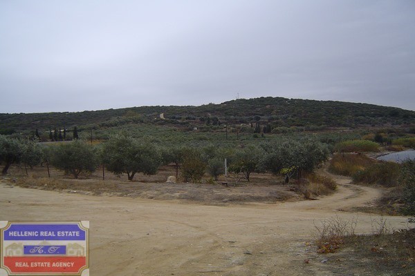 Αγροτεμάχια 3.480 τ.μ. προς πώληση, Νέα Πέραμος Ελευθερών