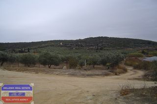Αγροτεμάχια 3.480 τ.μ. πρός πώληση, Ν. Καβάλας, Ελευθερές-thumb-3