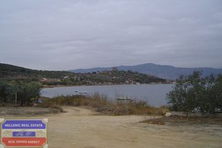 Αγροτεμάχια 3.480 τ.μ. πρός πώληση, Ν. Καβάλας, Ελευθερές-thumb-13