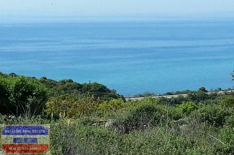 Αγροτεμάχια 3.000τ.μ. για πώληση-Ελευθερές