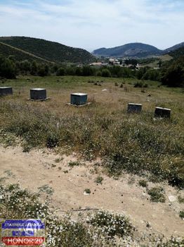Αγροτεμάχια 3.300τ.μ. για πώληση-Καβάλα