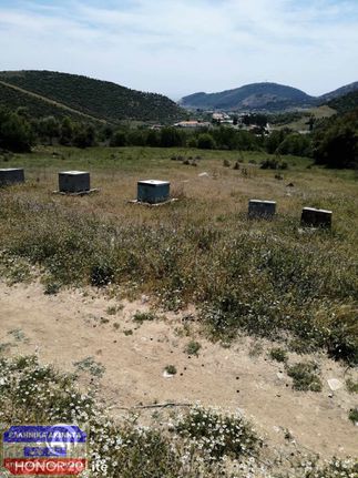 Αγροτεμάχια 3.300 τ.μ. για πώληση, Ν. Καβάλας, Καβάλα