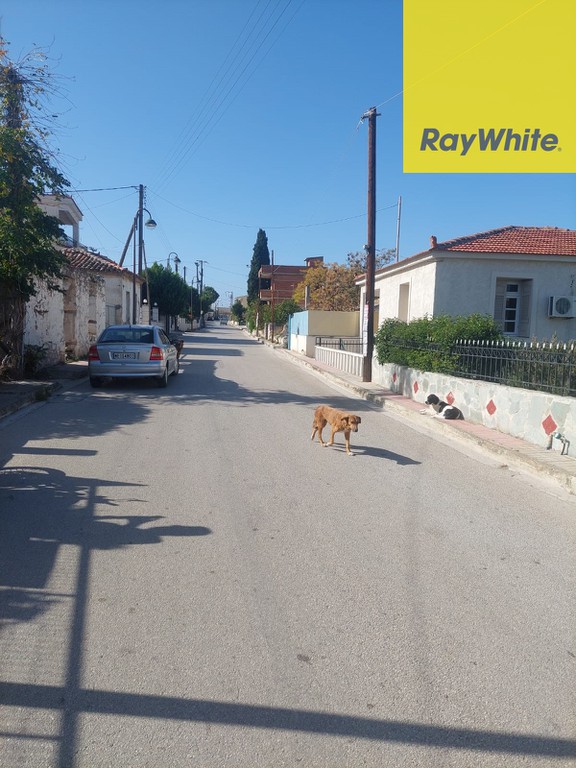 Οικόπεδο 2.000 τ.μ. προς πώληση, Κυράς Βρύση Λουτρακίου-Περαχώρας