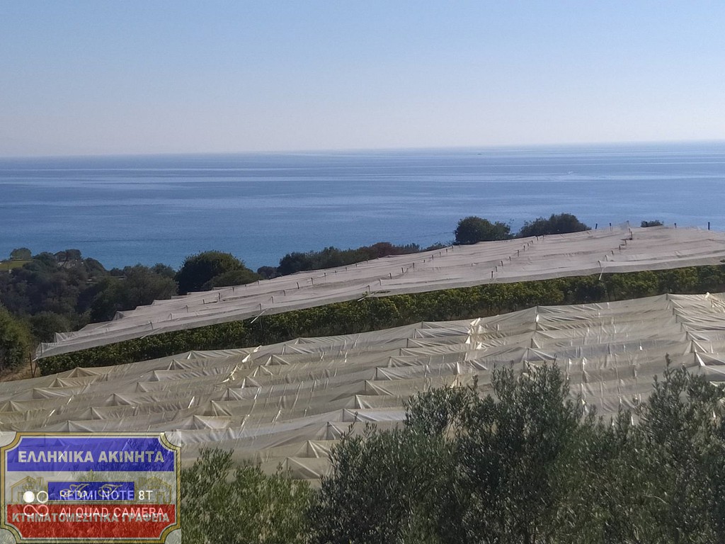Αγροτεμάχια 2.550 τ.μ. πρός πώληση, Ν. Καβάλας, Ελευθερές