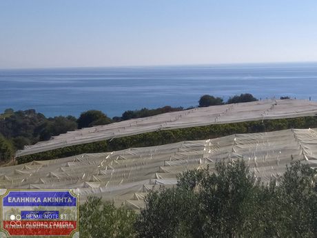 Αγροτεμάχια 2.550τ.μ. για πώληση-Ελευθερές