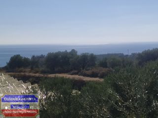 Αγροτεμάχια 2.550 τ.μ. πρός πώληση, Ν. Καβάλας, Ελευθερές-thumb-6