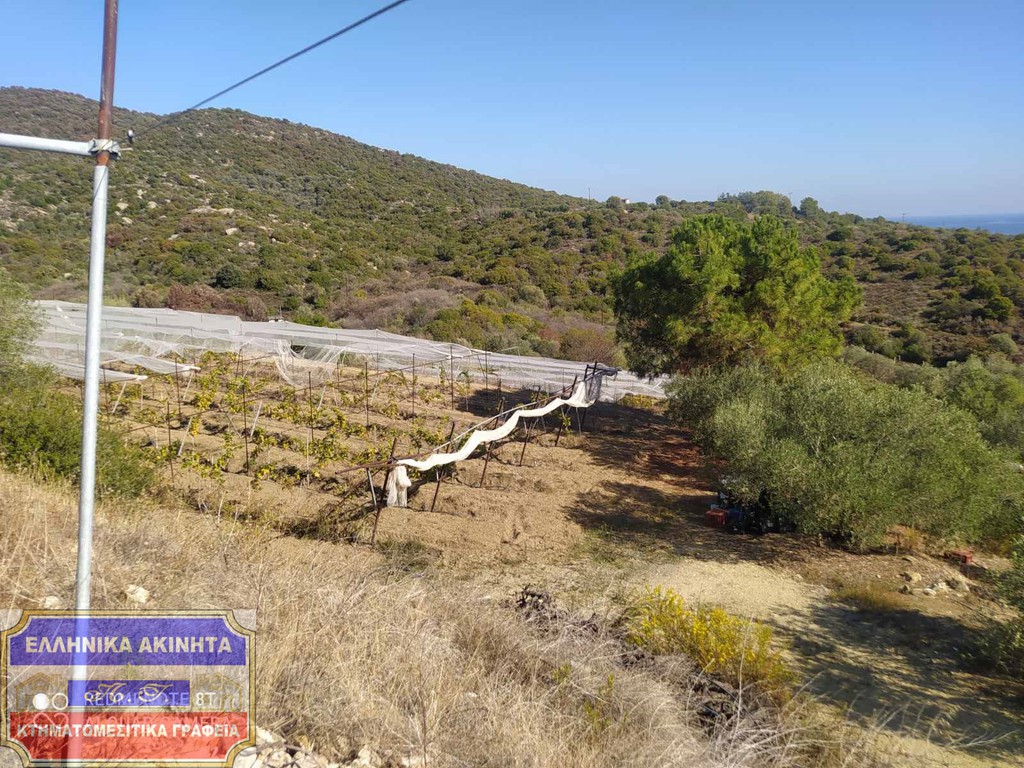 Αγροτεμάχια 2.550 τ.μ. προς πώληση, Παραλία Ελαιοχωρίου