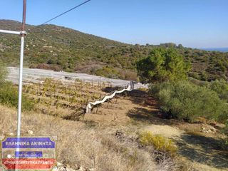Αγροτεμάχια 2.550 τ.μ. πρός πώληση, Ν. Καβάλας, Ελευθερές-thumb-2