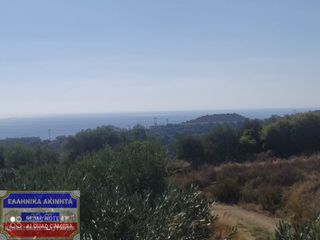 Αγροτεμάχια 2.550 τ.μ. πρός πώληση, Ν. Καβάλας, Ελευθερές-thumb-13