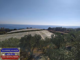 Αγροτεμάχια 2.550 τ.μ. πρός πώληση, Ν. Καβάλας, Ελευθερές-thumb-12