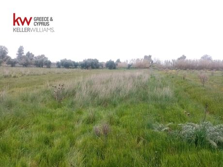 Αγροτεμάχια 9.272τ.μ. για πώληση-Μόβρη