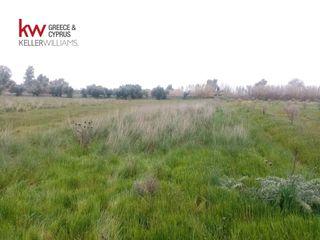 Αγροτεμάχια 9.272 τ.μ. για πώληση, Αχαΐα, Μόβρη-thumb-1