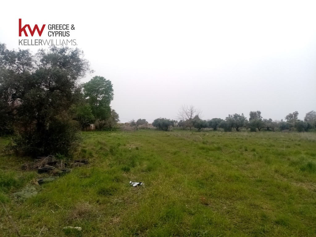 Αγροτεμάχια 9.272 τ.μ. προς πώληση, Αχαΐα, Μόβρη