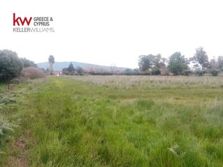 Αγροτεμάχια 9.272 τ.μ. για πώληση, Αχαΐα, Μόβρη-thumb-6