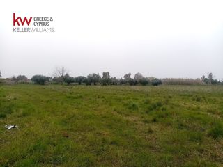Αγροτεμάχια 9.272 τ.μ. για πώληση, Αχαΐα, Μόβρη-thumb-7