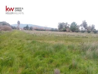 Αγροτεμάχια 9.272 τ.μ. για πώληση, Αχαΐα, Μόβρη-thumb-4