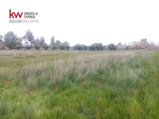 Αγροτεμάχια 9.272 τ.μ. για πώληση, Αχαΐα, Μόβρη-thumb-3