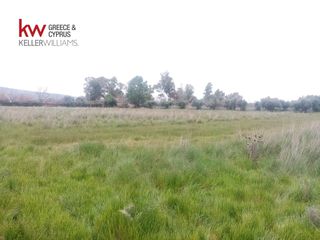 Αγροτεμάχια 9.272 τ.μ. για πώληση, Αχαΐα, Μόβρη-thumb-5