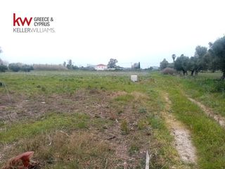 Αγροτεμάχια 9.272 τ.μ. για πώληση