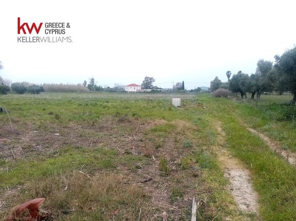 Αγροτεμάχια 9.272 τ.μ. για πώληση, Αχαΐα, Μόβρη