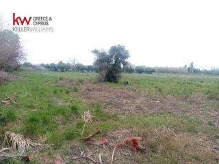 Αγροτεμάχια 9.272 τ.μ. για πώληση, Αχαΐα, Μόβρη-thumb-8