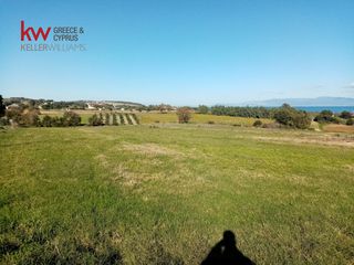 Οικόπεδο 6.830 τ.μ. για πώληση, Αχαΐα, Δυτικής Αχαΐας-thumb-5