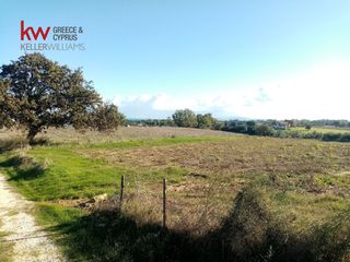 Οικόπεδο 6.830 τ.μ. για πώληση, Αχαΐα, Δυτικής Αχαΐας-thumb-3