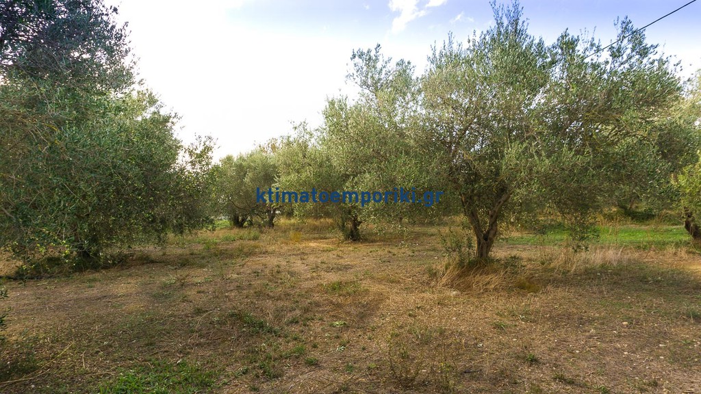 Οικόπεδο 2.000 τ.μ. προς πώληση, Γεωργιούπολη