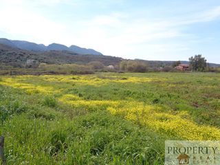 Αγροτεμάχια 4.196 τ.μ. πρός πώληση, Ν. Κέρκυρας, Κέρκυρα-thumb-6