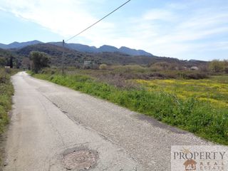 Αγροτεμάχια 4.196 τ.μ. πρός πώληση, Ν. Κέρκυρας, Κέρκυρα-thumb-2