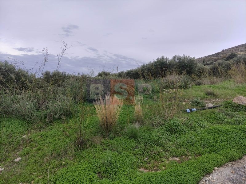 Αγροτεμάχια 4.822 τ.μ. προς πώληση, Κνωσός