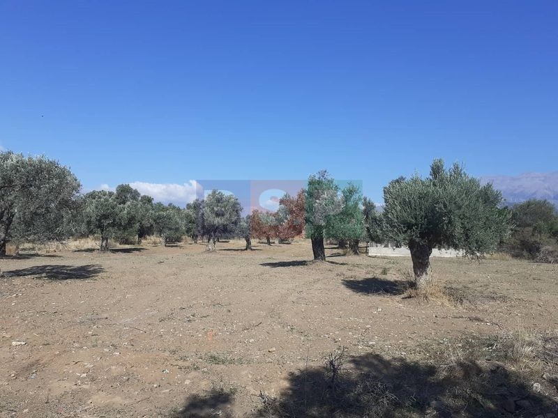 Οικόπεδο 14.000 τ.μ. προς πώληση, Κόκκινος Πύργος
