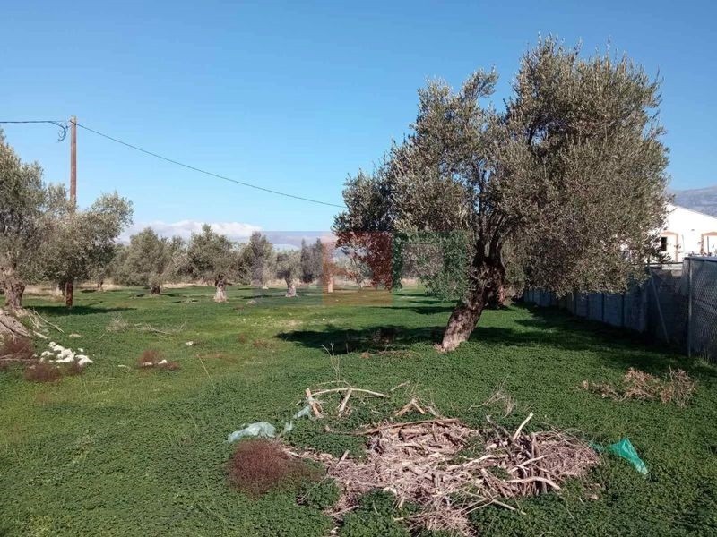 Οικόπεδο 14.000 τ.μ. προς πώληση, Κόκκινος Πύργος
