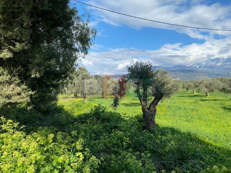 Οικόπεδο 14.000 τ.μ. προς πώληση, Κόκκινος Πύργος